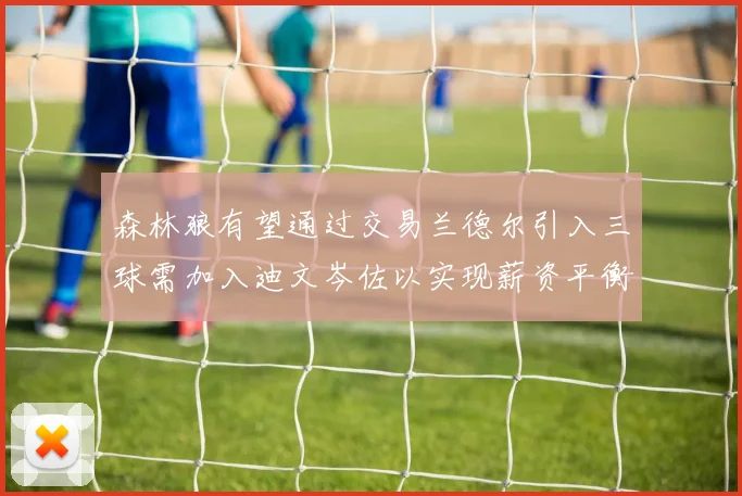 森林狼有望通过交易兰德尔引入三球需加入迪文岑佐以实现薪资平衡